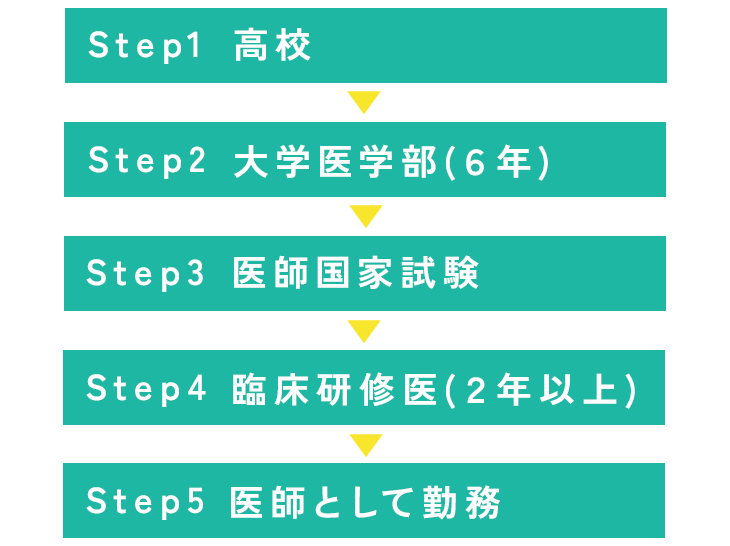 医師になるまでのステップ